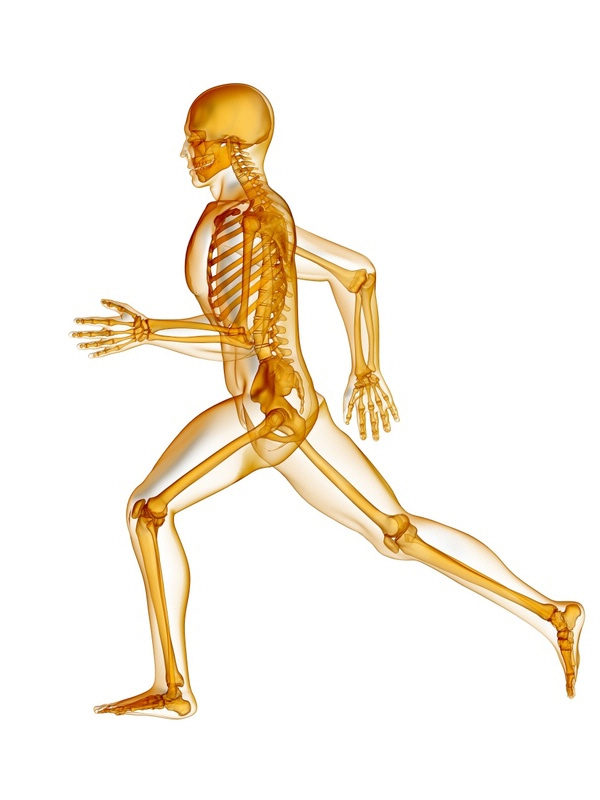 Biomechanics – The Run Doctor
